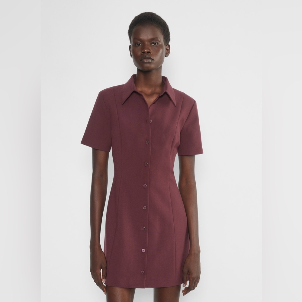 Aritzia Burgundy Mini Dress